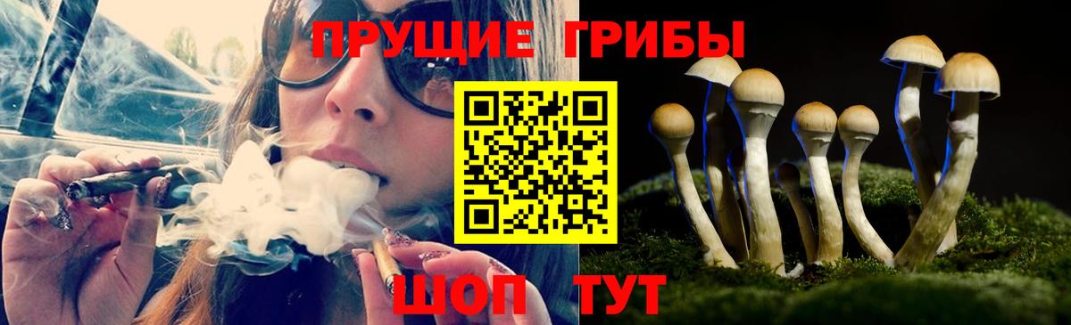 Галлюциногенные грибы MAGIC MUSHROOMS Воронеж